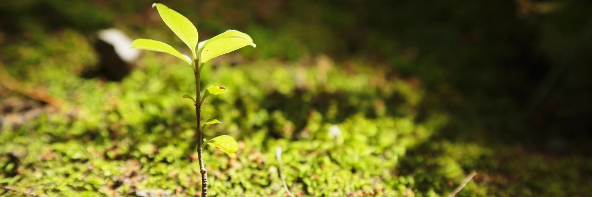 Protéger la Biodiversité